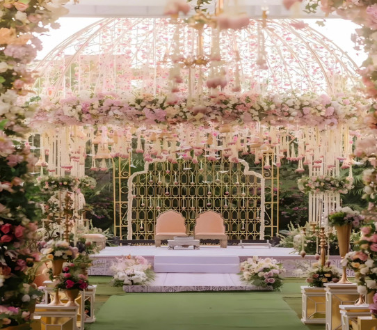 Devam Green By Primerose